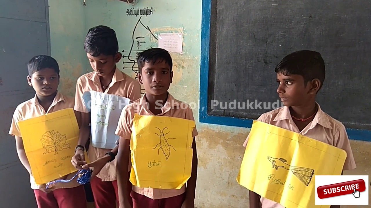 FOOD CHAIN IN POND ECOSYSTEM - குளத்தில் உணவுச்சங்கிலி - YouTube