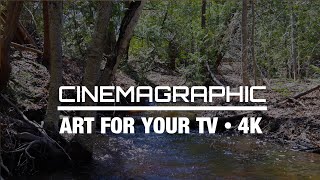 Babbling Brook | Cinemagraphic Art For Your TV | 4Hr 4K | Relaxation and Anxiety Relief