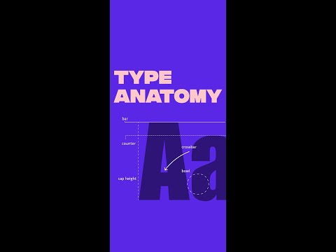 Type Anatomy in