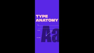 Type Anatomy in 60 seconds
