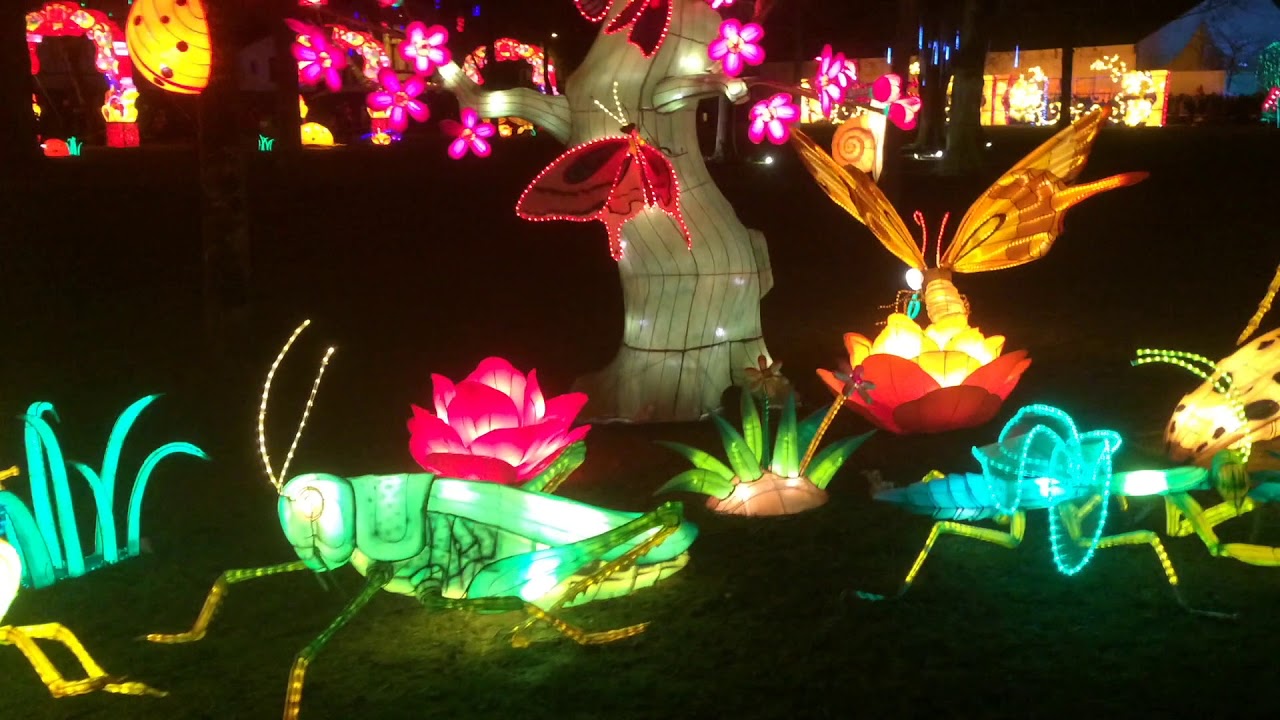 Gaillac - Festival des lanternes ♡ - YouTube
