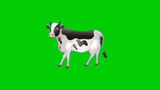 cow green screen video|| animal green video|| green screen no copyright #greenscreen