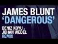 James Blunt - Dangerous (Deniz Koyu & Johan Wedel Remix)