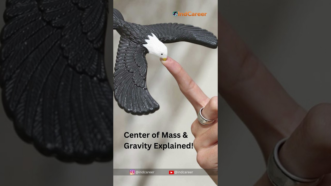 Balancing Bird Explained | Center of Mass & Gravity | Physics Fun | @indcareer