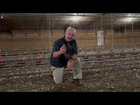 Very high air speed tunnel-ventilated broiler house - YouTube
