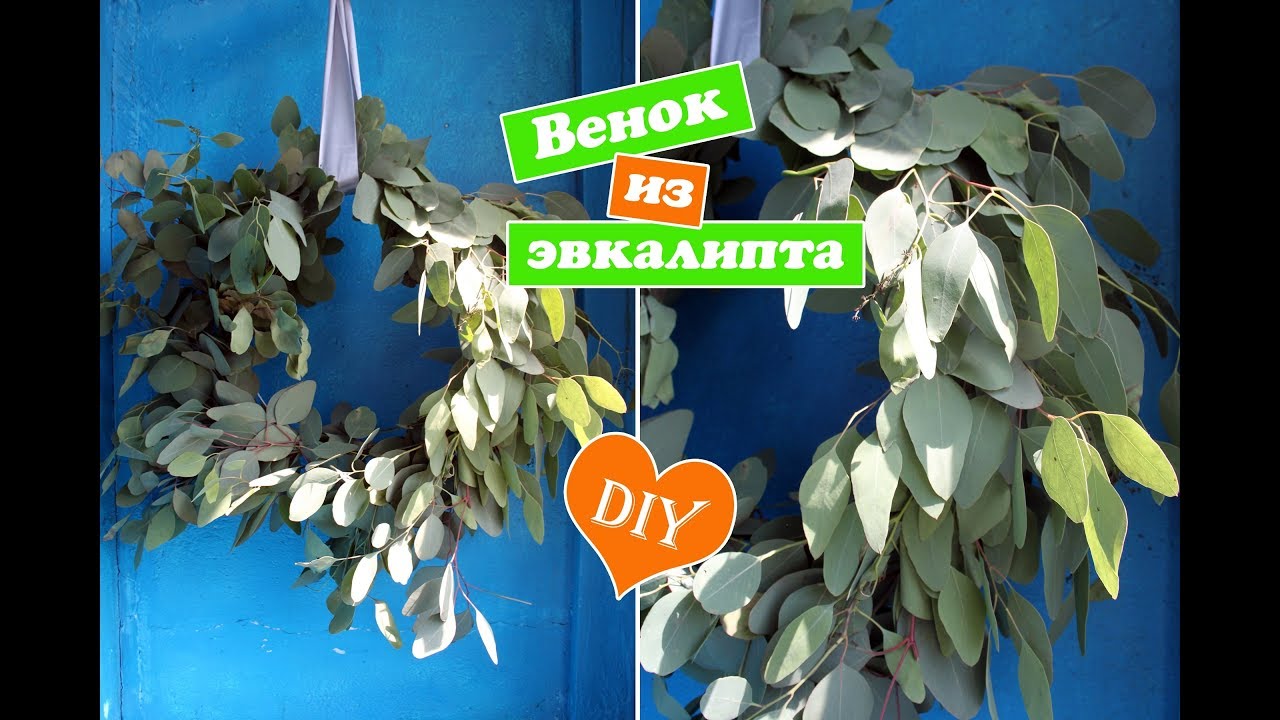 Легкий DIY / Современный венок из эвкалипта / wreath of eucalyptus ...