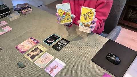 Stapel 1, Labradoriet (15-11-2025)