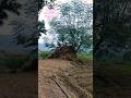 #ytshorts#love#sukoonwalijagah#sukoon#village#villagelife#gaon#shortsfeed#trending#viralvideo#shorts