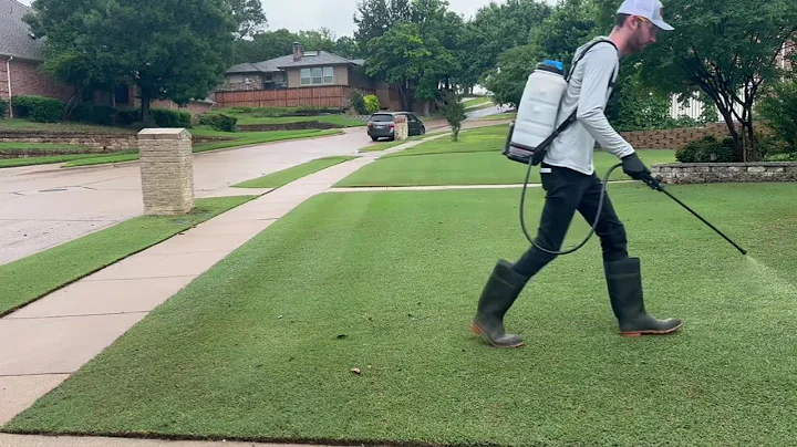 Acelepryn Spray for Grubs & Armyworms (Plus 2021 Results You Need to See)