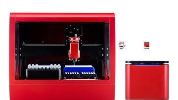 Myra Gene Expression Video 2021