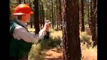 Vision Based Fire Detection