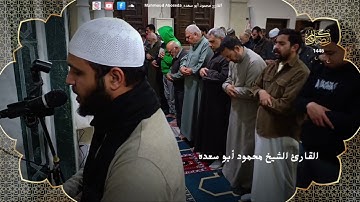 تلاوه خاشعه 33 | للقارئ الشيخ محمود أبو سعده الليله الحادي عشر  رمضان 1446