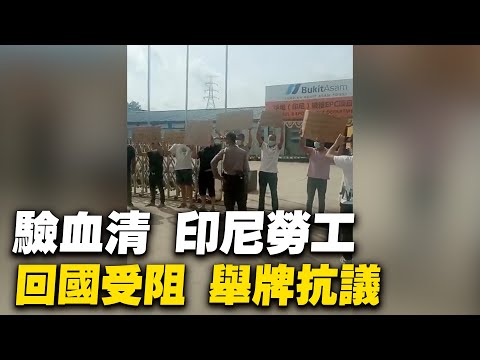 验血清印尼劳工回国受阻，举牌抗议。由于中共大使馆要求血清抗体检测，造成大量打了疫苗的劳工隔离、滞留。在印尼OSS燃煤电厂，劳工被隔离在厂区，确诊的人被关在仅有一个小窗子的房子里。