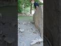 Best Putts You’ll Ever See 😱 #golf #minigolfing #minigolf