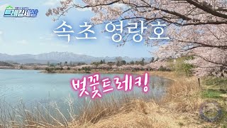 속초 영랑호 _ 벚꽃길트레킹