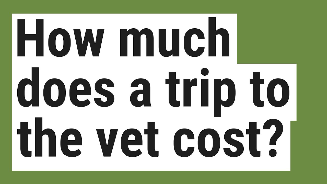 How much does a trip to the vet cost?