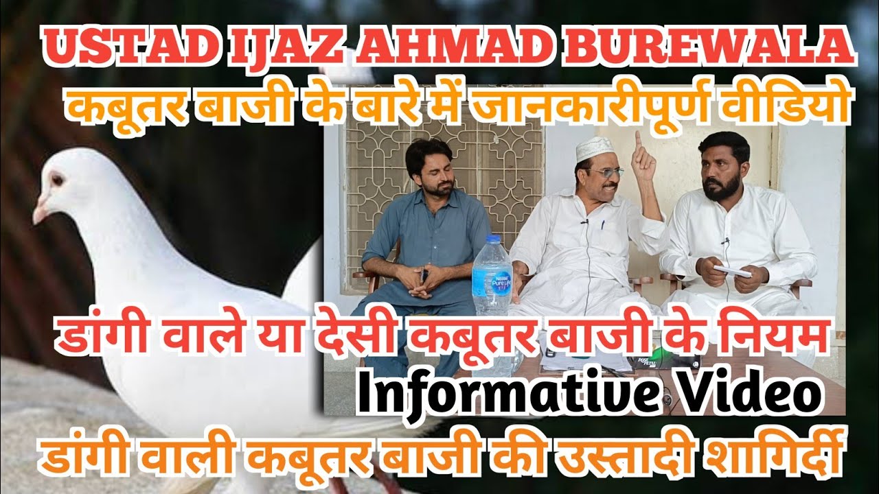 IK SHONK KABOOTAR BAAZI DA INTERVIEW|| USTAD CH IJAZ AHMAD|| अच्छा उस्ताद कोन होता हे उसकी पहचान.