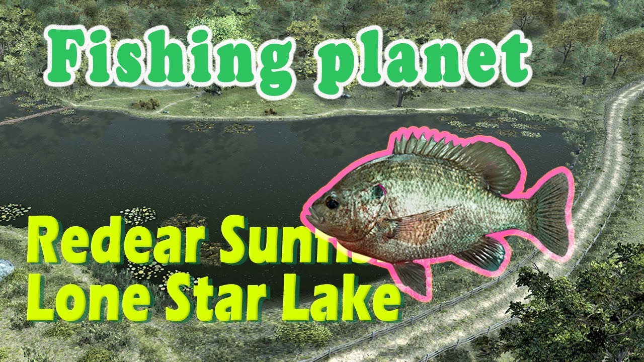 Green Sunfish Lone Star Lake How to Catch Fishing