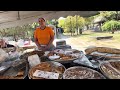 %100 ORGANİK, EL EMEĞİ ,ALIN TERİ OLAN BİR PAZAR /AYDIN, ÇAKIRBEYLİ PAZAR TURU / GÜNLÜK VLOG