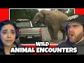 Damn Nature You Scary | Funny Scary Animal Encounters | OHHHH HELL NO!