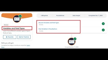 Variables and Field Types | Salesforce Trailhead