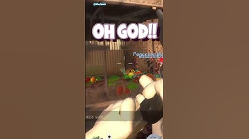 Mods Make Left 4 Dead 2 SO MUCH BETTER