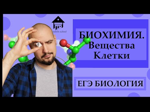 БИОХИМИЯ - вещества клетки для ЕГЭ |ЕГЭ БИОЛОГИЯ|Freedom|