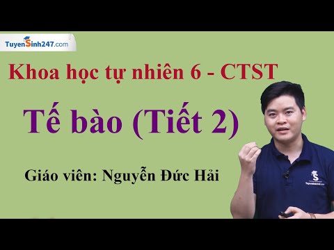 Video: Lý Thuyết Tế Bào được Xây Dựng Lần đầu Tiên Bởi Ai Và Khi Nào