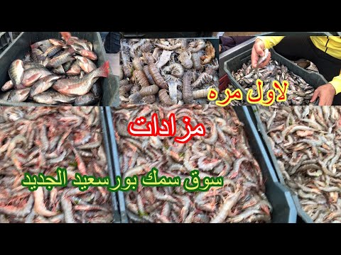 لاول مره مزادات السمك فى سوق سمك بورسعيد الجديد مفيش سردين النهارده