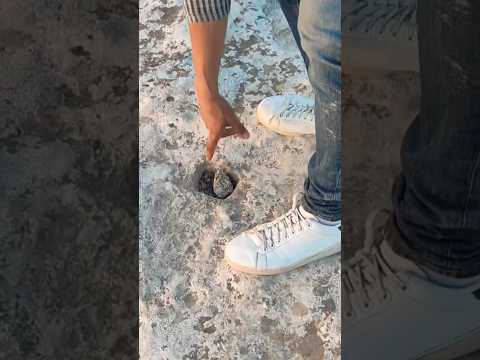 تحليل اشارة جرن المربع