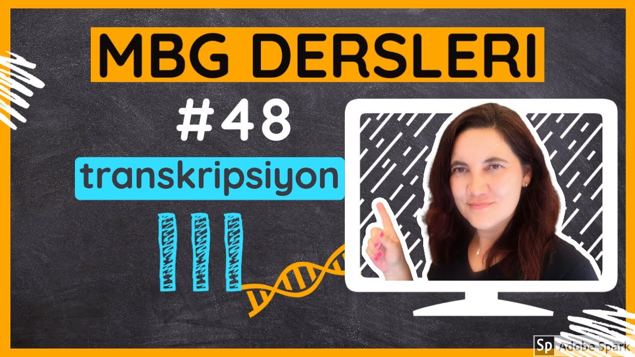 Moleküler Biyoloji ve Genetik Dersleri #48: Transkripsiyon III