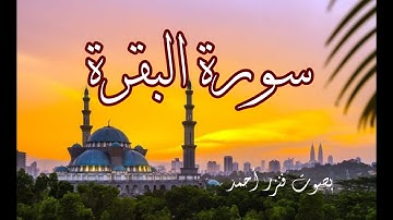 تلاوة عطرة للقارئ فنزر احمد 💚 راحة نفسية 🎧
