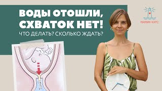 Воды отошли, а схваток нет - что делать. Прямой эфир с Гагаркиным Романом Николаевичем