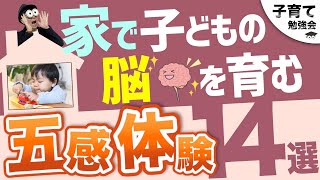 0~12歳【手軽に育脳！】家の中で五感を鍛える育脳方法14選/子育て勉強会TERUの育児・知育・幼児教育・子どもの教育講義