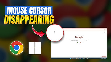 How to Fix Mouse Cursor Disappearing in Google Chrome Issue on Pc | Cursor Not Showing in Chrome