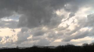 Flips And Inverted Hovering Practice