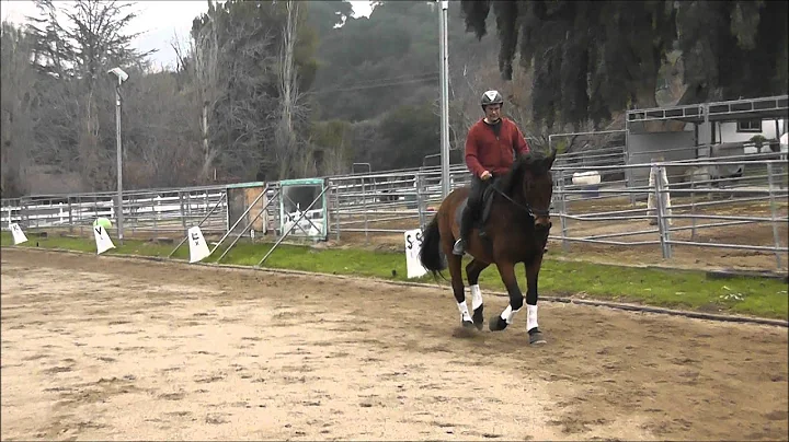 Robert and his horse Joey in a Dressage lesson with Claudia