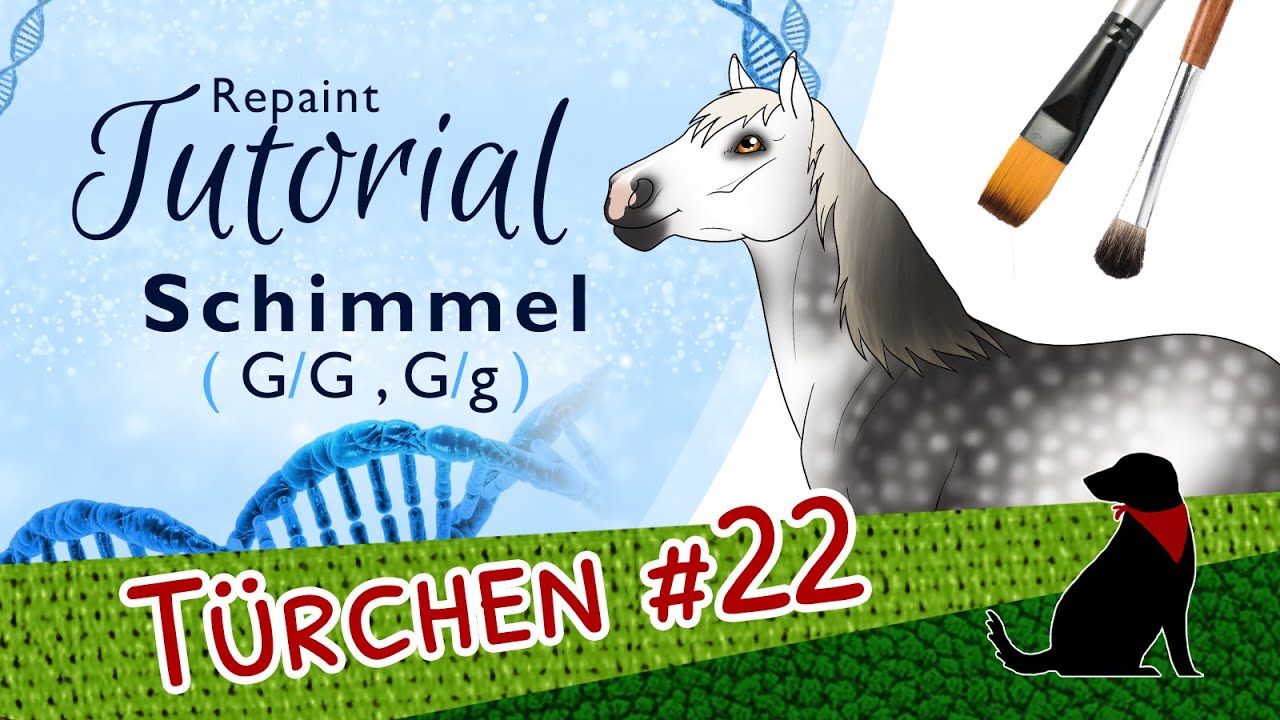 SCHIMMEL REPAINT TUTORIAL (GG/Gg) mit Pastell - Pferdegenetik-Repaint-Kurs - Teil 12