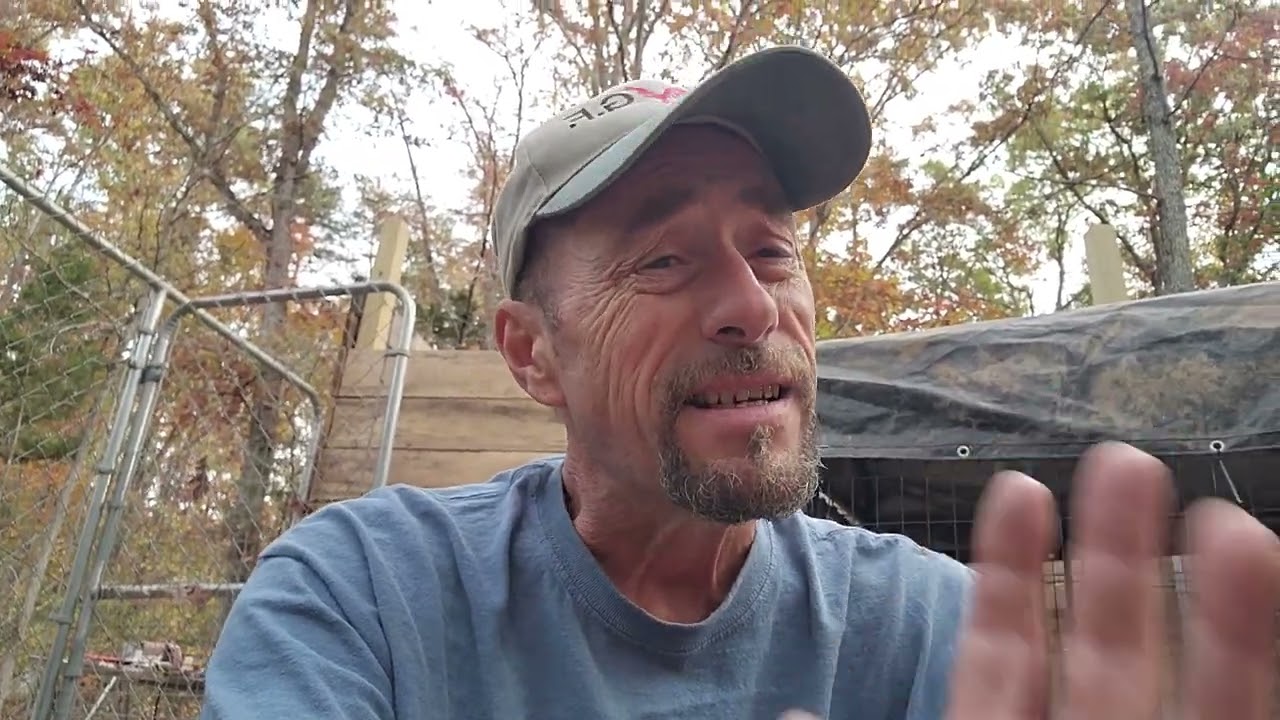 Gamefowl breeding tip of the day.