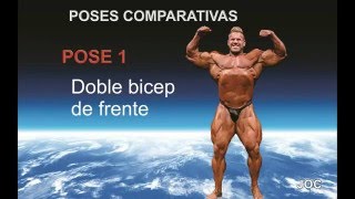 POSES DE FISICOCULTURISMO REGLAMENTARIAS, 2016