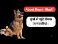 Kutte se jude rochak tathye  psychology facts about dog subscribe my youtube channel  psychology