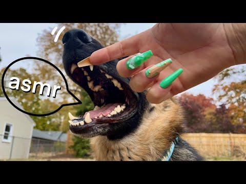Camera Scratching Outside - ASMR - No Talking