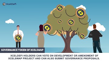 Introduction to XcelDefi