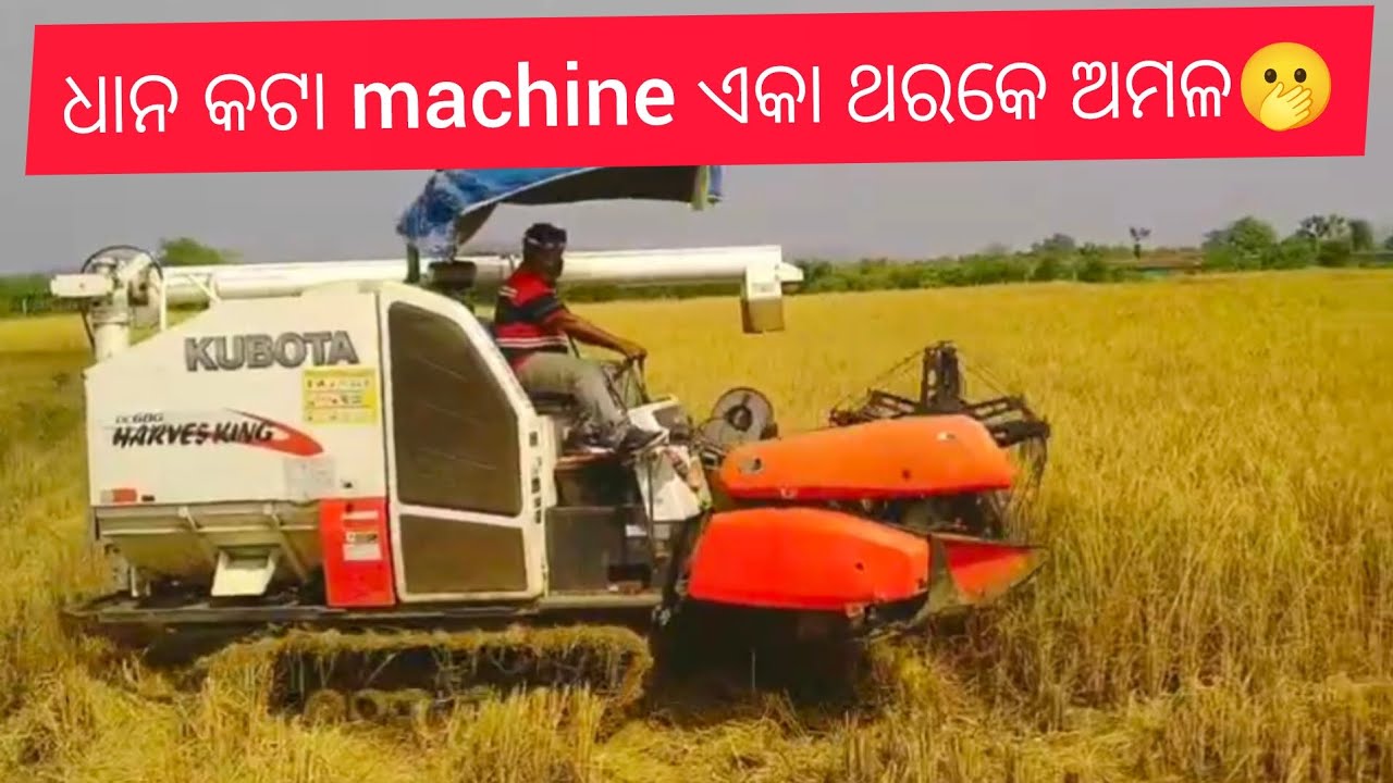 Best combine harvester ,kubota harvester 😉👑🐅 ଧାନ କଟା machine 🌾