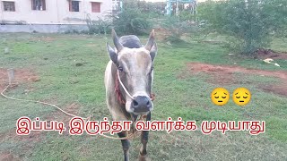 இபபட உஙக மட இரகக ???