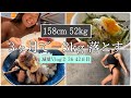 【−3kg落とす1週間の食事⑥】ダイエット減量Vlog36~42日目 | 体重・体脂肪率