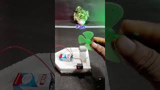 DIY Mini Boat at Home 🚤 Easy Science Project