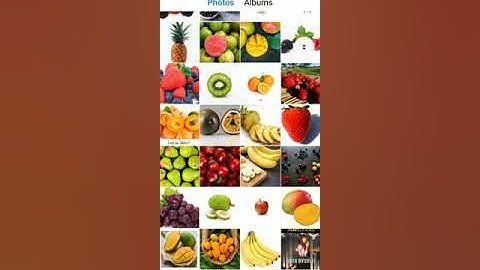 DEV AI FRUIT CLASSIFICATION USING AN ANDROID APP.