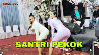 SANTRI PEKOK || VELA ZALADARA - AYU OCTAVIA || L.O MUSIK