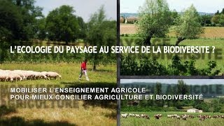 L'écologie du paysage au service de la biodiversité ?